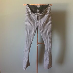 Express Columnist Barely Boot Dress Pants